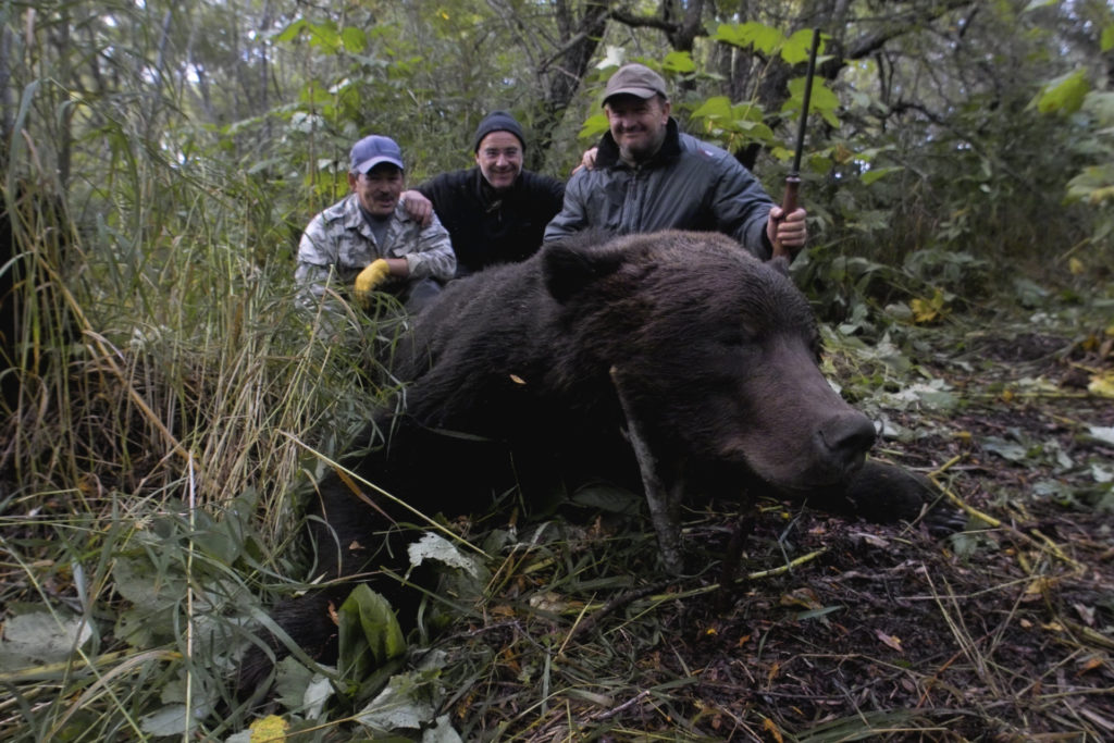 Kamchatka Trophy Hunts - fall brown bear hunts